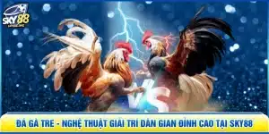Đá Gà Tre - Nghệ Thuật Giải Trí Dân Gian Đỉnh Cao Tại SKY88