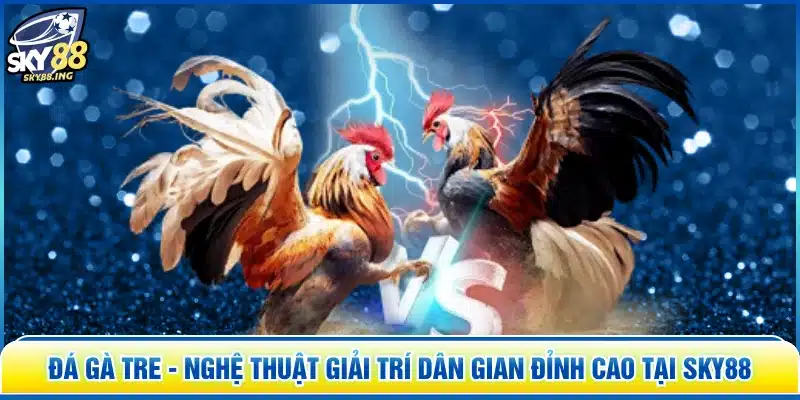 Đá Gà Tre - Nghệ Thuật Giải Trí Dân Gian Đỉnh Cao Tại SKY88