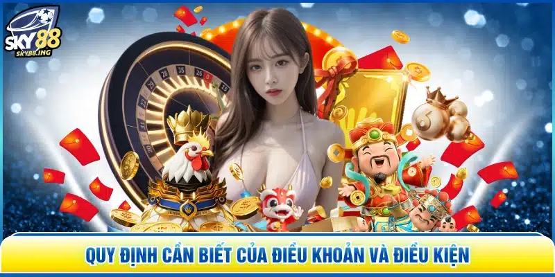 Quy định cần biết của điều khoản và điều kiện